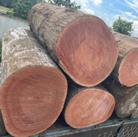 Gỗ còng nhập khẩu